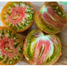 Редкие сорта томатов Заржавевшее сердце Эверетта